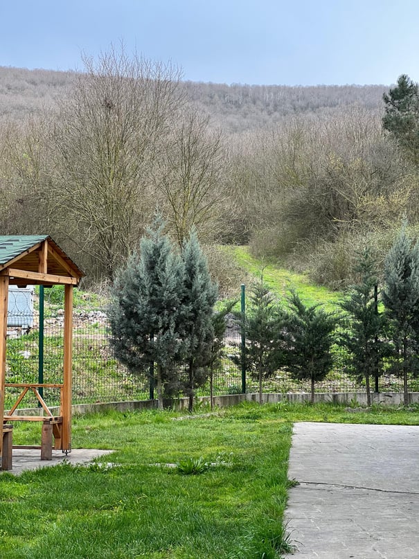 Kalite Fotoğrafı 3